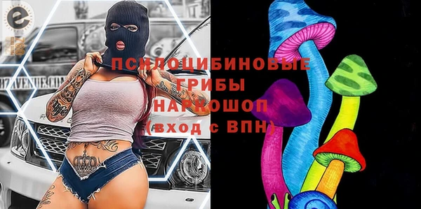 мдпв Саяногорск