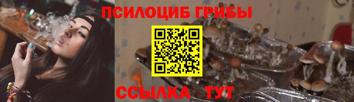 Семилуки  Псилоцибиновые грибы мицелий  Вход с VPN 
